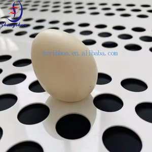 New Poultry Cage Perforated <strong>Egg</strong> Belt for Animal &amp; Poultry Husbandry Equipment Polypropylene Low <strong>Egg</strong> Breakage Rate - Product Image 4