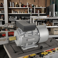 YL Série 220V Moteur à courant alternatif monophasé Moteur Moteurs électriques Type de produit