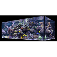 Nouvel aquarium rectangulaire en acrylique, design délicat, écologique, 4,5 L, taille personnalisable, haute qualité, vente chaude en usine