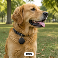 Petit traceur GPS pour animaux de compagnie en plastique imperméable, suivi en temps réel, autonomie de la batterie > 20 heures, norme MFI, compatible iOS pour enfants