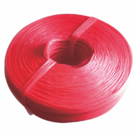 Corde d'emballage, corde de ligature, cordon d'emballage, ficelle en plastique, corde à nouer, corde en nylon, adaptée pour la ligature des crabes ; corde rouge épaisse.