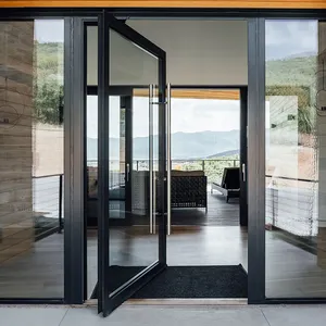 Aluminum Alloy Frame Pivot Door Luxury Design Entrance Glass Exterior Door