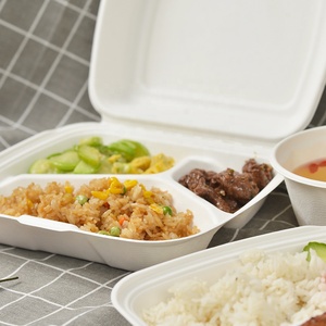 Contenedor 450mL De Envase De <span class=keywords><strong>Bagazo</strong></span> De Gastronomia - Product Image 6