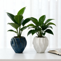 Pots à succulentes, pot à fleurs en céramique émaillée à la main avec texture ondulée, pot à plantes créatif, ensemble de pots à fleurs en céramique