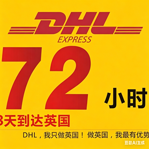 <strong>Cheap</strong> DDP Logistic Express Shipping From China to Saudi Arabia USA UK Canada Spain Singapore with UPS &amp; DHL Agents - Product Image 3