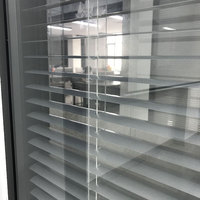Fenêtres à guillotine coulissantes italiennes en alliage d'aluminium avec cadre en acier inoxydable pour persiennes en verre