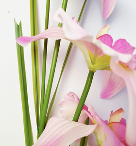 Grosir <span class=keywords><strong>Cymbidium</strong></span> buatan 5 bunga anggrek kepala bunga buatan sutra merah muda merah Cyclamen untuk dekorasi latar belakang pernikahan