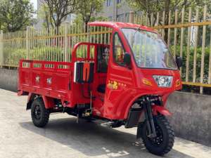 Motocicleta de alta calidad, triciclo de carga de 2024, motor de refrigeración por agua de 250cc, coche de 3 ruedas motorizado a la <span class=keywords><strong>venta</strong></span>, trimoto de carga de - Product Image 4