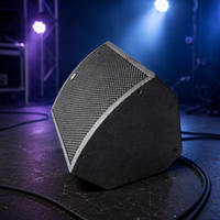 Subwoofer coaxial I.EVOICE Big Bass 12 pouces en néodyme, enceinte en contreplaqué de bouleau, audio haute résolution, impédance 8 ohms, garantie 2 ans, C.12M
