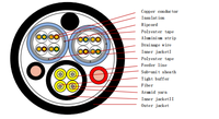 Extérieur 1.5mm2 2mm2 12 Fibre 2 Cuivre Connecteur Hybride Câble Assemblage Fibre Optique Patch Cordon