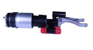 Amortisseurs pneumatiques <span class=keywords><strong>LinTech</strong></span> TYSL4248 1620366-00-G pour Model X Model S, construction durable, prix de gros - Product Image 2