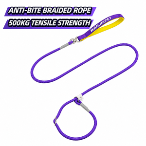Laisse de dressage pour chien robuste, type martingale, anti-traction, en corde d'escalade tressée, avec glissière en cuir réglable et poignée confortable - Product Image 5