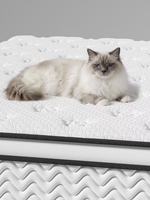 Matelas Euro Top à ressorts ensachés de haute qualité pour hôtel, avec mousse à mémoire de forme en gel – Prix de gros