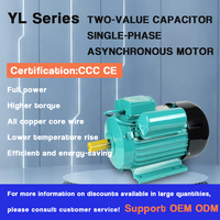 Moteurs électriques à induction à courant alternatif à double condensateur à deux valeurs série YL 220v 2.2kw 3hp 1440rpm 4p monophasé
