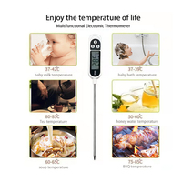 Pabrik TP300 termometer BBQ daging dapur pengukur suhu minyak pengukur makanan barbeque Digital termometer suhu makanan