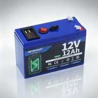 Batterie de stockage d'énergie LiFePO4 12V 12Ah, pack de batteries LiFePO4 12V, boîtier de batterie LiFePO4 à coque rigide avec protection intégrée BMS