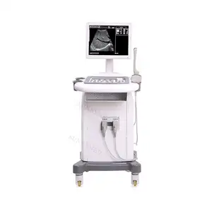 SY-A020 15 Inch Monitor Ultrasone Scanner Met Trolley In Medische Ultrasone Apparatuur