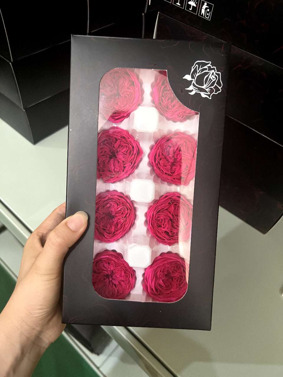 Rose garance