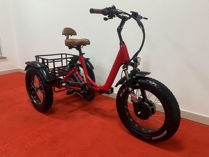 20 pollici Trike elettrico adulti 750w pneumatico grasso motore 3 <span class=keywords><strong>ruote</strong></span> <span class=keywords><strong>bici</strong></span> elettrica elettronica <span class=keywords><strong>tre</strong></span> <span class=keywords><strong>ruote</strong></span> adulti Cargo triciclo elettrico - Product Image 3