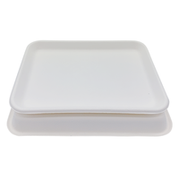 Plateau rectangulaire à viande jetable, 1 pièce, plateau en papier pour la viande, sugarcane, sans bpa