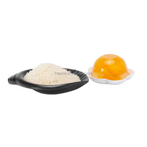 Gélatine de <span class=keywords><strong>poisson</strong></span> comestible (<span class=keywords><strong>200</strong></span> <span class=keywords><strong>Bloom</strong></span>) pour la production de crème glacée et de pouding, marque KAPPTAI, 25 kg/sac, durée de conservation de 36 mois - Product Image 4