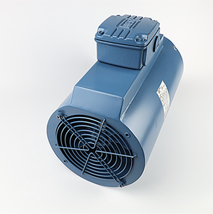 Moteur asynchrone triphasé WEG W20 5KW AC, IP55, boîtier en fonte, haute efficacité, pleine vitesse, normes 50/60Hz, W20 Weg W20 5KW AC - Product Image 4