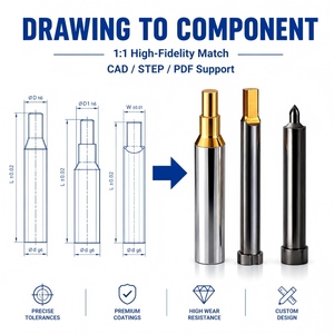 Poinçons et matrices personnalisés avec revêtement TiCN, pièces de moule d'estampage avec revêtement DLC CrN PVD, remplacement pour MISUMI DAYTON DIN ISO JIS - Product Image 4