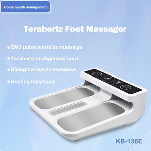 2025 ultimi I Tera P90 <span class=keywords><strong>Plus</strong></span> fisioterapia Terahertz terapia con luce rossa blu piede Spa per il corpo per il massaggio ai piedi - Product Image 3