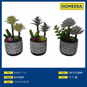 Fioriere ecologiche 13x13x25CM in cemento e plastica succulente colori misti Per il giardinaggio domestico 24 pezzi Per scatola Per uso a pavimento - Product Image 1