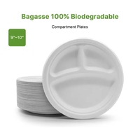 Assiettes jetables en bagasse compostables, 50 pièces, grand format, écologiques, pour traiteur, fêtes et événements