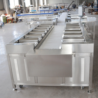 304 RVS PLC-gestuurde automatische weeg- en sorteermachines voor fruit, groenten, vis, noten; multi-station combinatieweegschalen