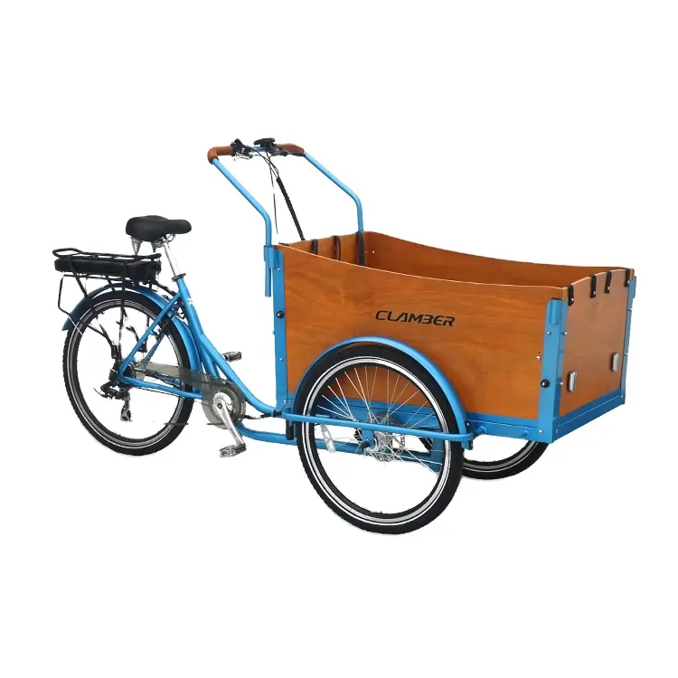 Điện ba bánh 3 bánh xe Cargo Bike 6 tốc độ điện hỗ trợ ba bánh xe điện Cargo Bike