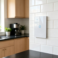 Interrupteur intelligent WiFi Tuya WHX01 durable, 1 canal, charge maximale 1000W, design en barre, contrôle vocal Alexa via l'application Smart Life pour usage domestique