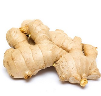 Extrait de gingembre biologique en poudre, gingérols standardisés, extrait de gingembre biologique pour produits nutraceutiques