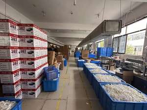 Trampa Adhesiva para Moscas de Papel Kraft con Cebo Atractivo, Suministro de Fábrica, OEM Disponible - Product Image 5