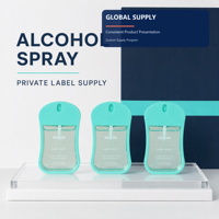 Spray désinfectant pour les mains à l'alcool, marque privée, formule personnalisée, emballage portable, soin hygiénique de voyage, OEM ODM, approvisionnement B2B