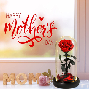 Decorazione per la Camera, Rosa Eterna Incantata Conservata in Cupola di Vetro, Rosa in Foglia d'Oro 24k per la Festa della Mamma e San Valentino - Product Image 6