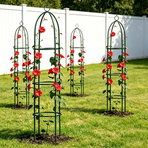 Obélisque de jardin en métal robuste <span class=keywords><strong>pour</strong></span> plantes grimpantes et fleurs, support pyramidal <span class=keywords><strong>pour</strong></span> plantes - Product Image 6