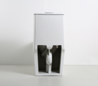 Salle de bain moderne de luxe en céramique toilette au sol siphon chasse d'eau WC monobloc toilette à double chasse