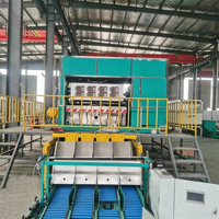 Peralatan Pembuatan Tray Telur Penjualan Panas, Pencetakan Otomatis untuk Industri Pengemasan