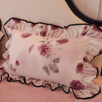 Parure de lit 4 pièces en velours de lait 100 % polyester rose pâle, antistatique, avec dentelle papillon et jupe de lit matelassée