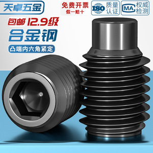 Tianzhuo Hardware M3 M16 Convex End Set Screw 12.9 Grade Hex Socket Head Cap Screw Metric Thread Insert Black Oxide Finish - Product Image 2