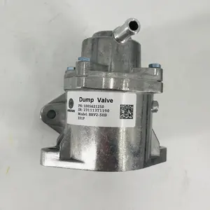 Weichai Natural Gas Engine Parts Dump Valve 1005621250 For WP15