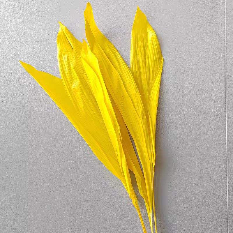 สีเหลือง