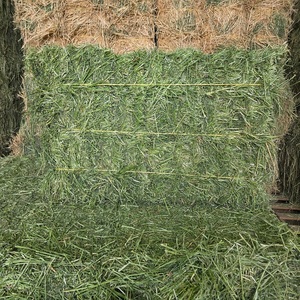 Heno de Alfalfa Fresco para Ganado, Caballos y Cabras, Forraje Nutritivo con Fibra Natural para una Alimentación Saludable - Product Image 4