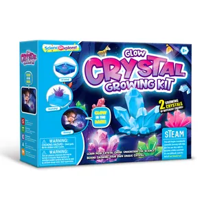 Hot Sell New Design Magic Educational Kits Amazing Science Experiment Kit classroom Classic Crystal Growing Kit For kids