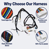 Faisceau de câblage personnalisé pour barre lumineuse LED avec relais et interrupteur 14AWG PVC pour camion, Jeep, tout-terrain, SUV