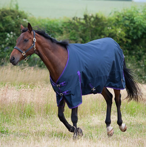 Couverture anti-mouches légère en maille respirante en polycoton personnalisable toutes saisons pour chevaux, protection UV, pour écurie et extérieur - Product Image 5