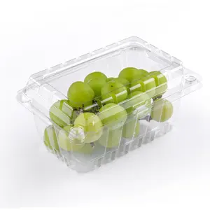 wholesale wholesale stackable packaging food container, disposable RPET Tomato Cherry Strawberry fruit plastic box with hole