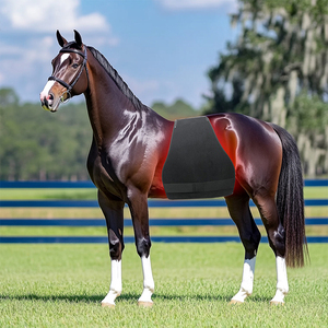 <span class=keywords><strong>Couverture</strong></span> de thérapie infrarouge équine de produit de soin de <span class=keywords><strong>cheval</strong></span> de lumière rouge avec 660nm 850nm - Product Image 4